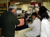 顕微鏡で卵巣組織を観察している様子