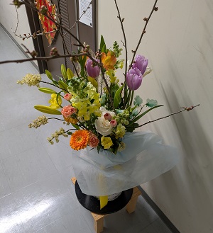 研究棟廊下の花 研究棟廊下の花