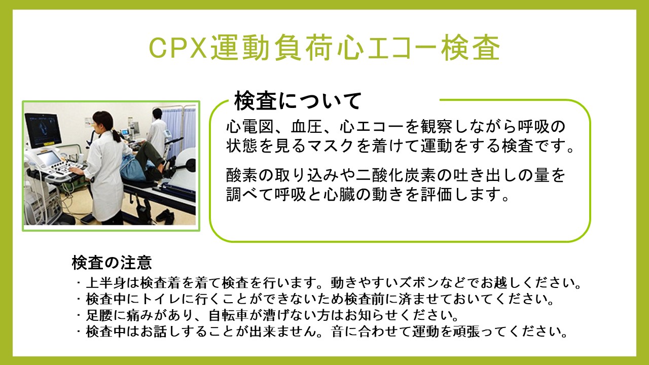 CPX : 運動負荷心エコー検査