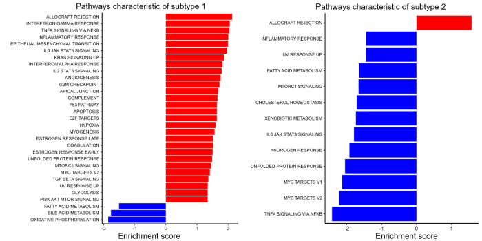 Subtype 1 showed activation of pathways related to NF-κB signaling and epithelial-mesenchymal transition. Subtype 2 showed abnormalities in multiple signals related to metabolic disorders. 