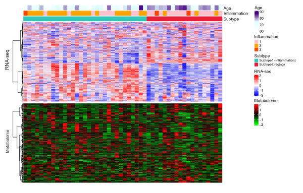Unsupervised clustering results combining the results of RNA-seq and metabolome analysis.