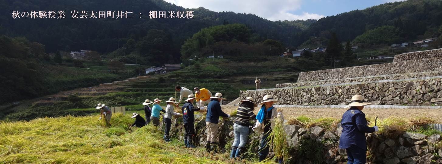 地（知）の拠点大学による地方創生推進事業　体験授業