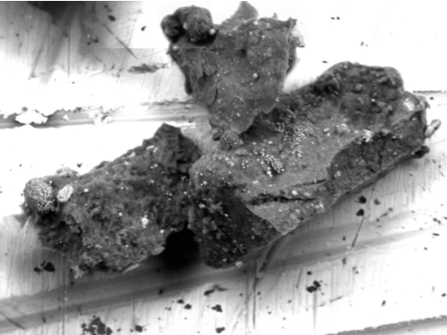 FE-TEM of Ryugu grain No. 15 from sample plate C0105-042, containing the djerfisherite inclusion