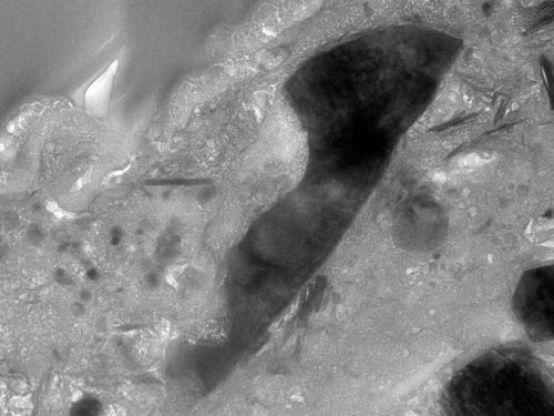 The djerfisherite inclusion in the number 15 grain of sample plate C0105-042 from Ryugu