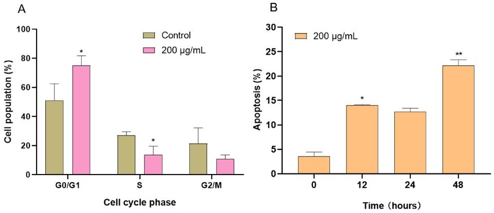 Effects of CAME on the cell cycle and apoptosis of PANC-1 cells: (A) CAME arrested PANC-1 cells in the G0/G1 phase after treatment for 12 h.; (B) CAME induced apoptosis of PANC-1 cells after treatment for 12, 24, and 48 h. (Hiroshima University / Zhang Rentao)