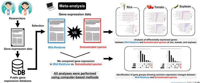 An overview of meta-analysis of wild and cultivated crop species