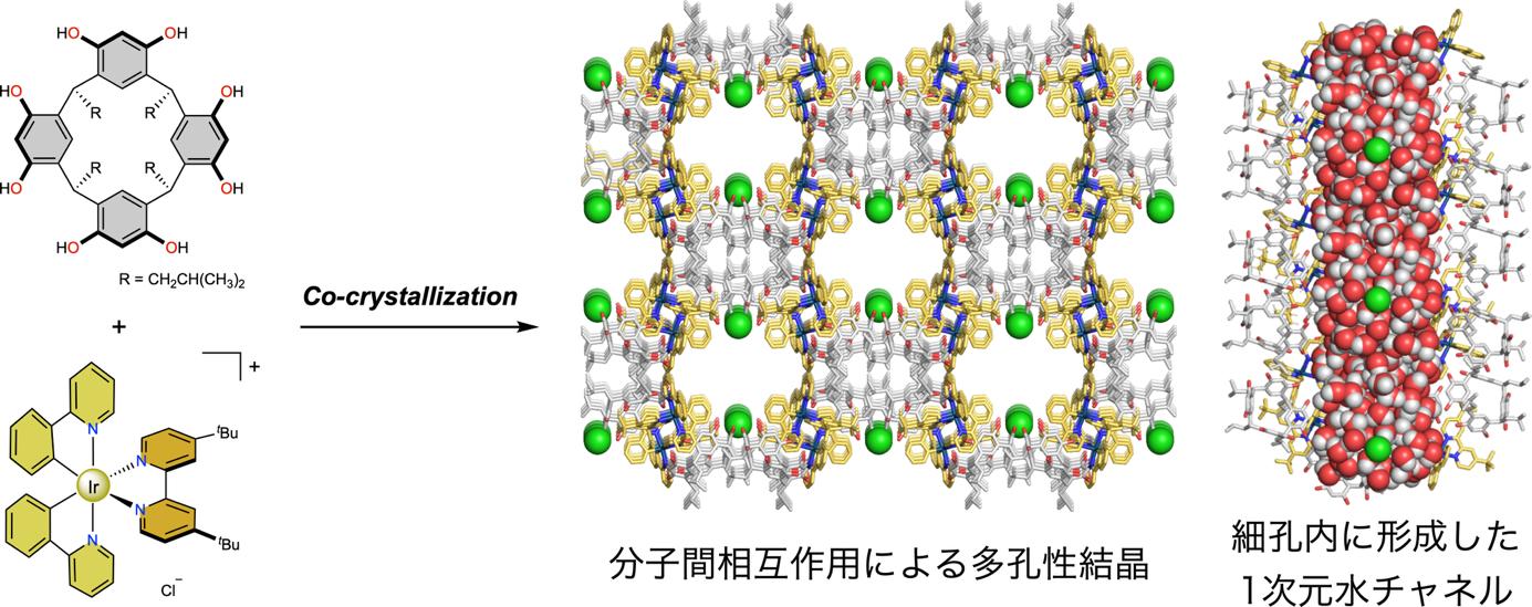 研究成果】界面水の不均一性を原子レベルの分解能で解明 ―高い構造情報