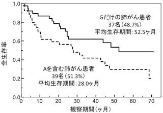 肺がん患者の生存率の推移