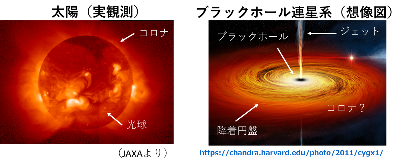 研究成果】ブラックホールに落ち込むプラズマの構造が明らかに