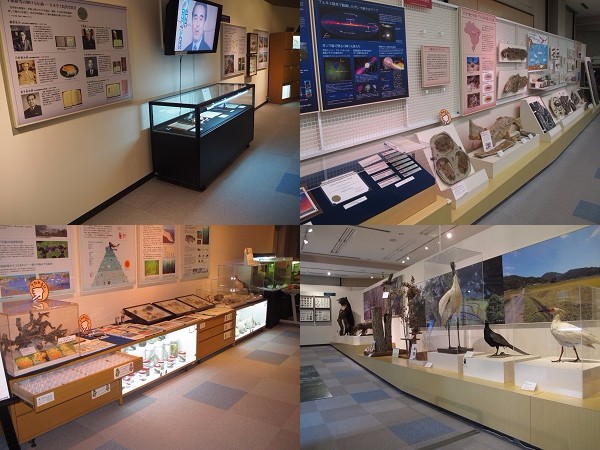 博物館本館　館内