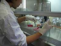肉・乳由来物質の生体機能調節作用の解析