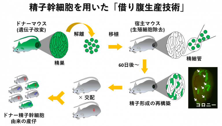 課題② スライド