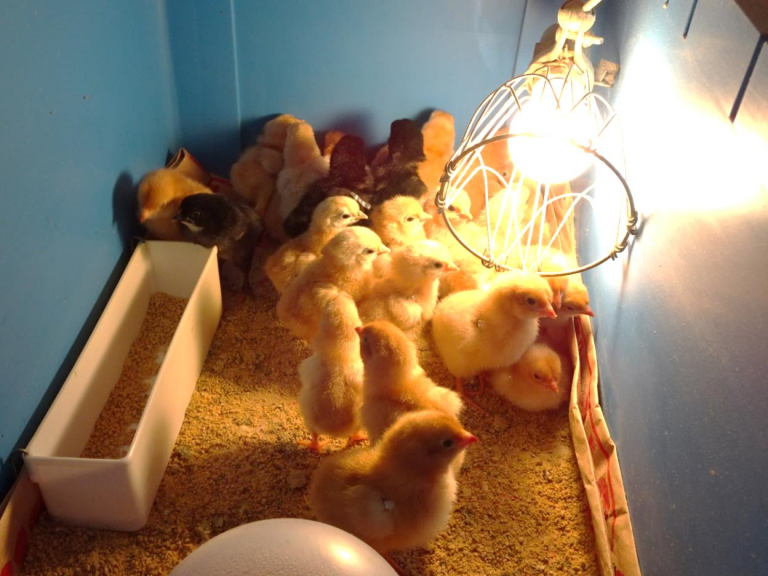 課題③ スライド