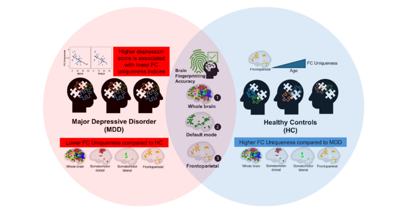 Clinical relevance of brain functional connectome uniqueness in major ...