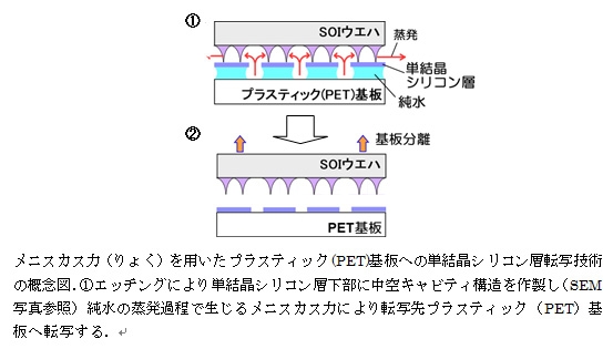 図１　メニスカス力（りょく）を用いたプラスティック（PET）基盤への単結晶シリコン層転写技術の概念図