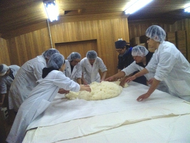 写真：岩下研究室麹造りの様子