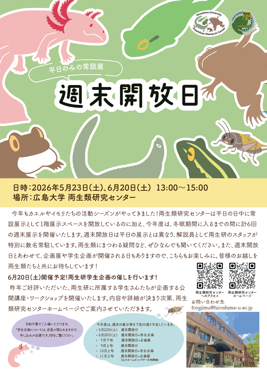 週末開放日