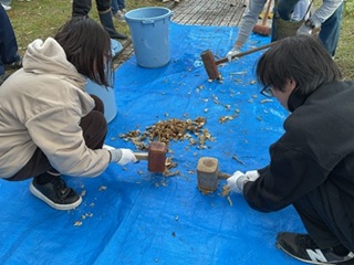 トロロアオイ「ネリ」の抽出作業