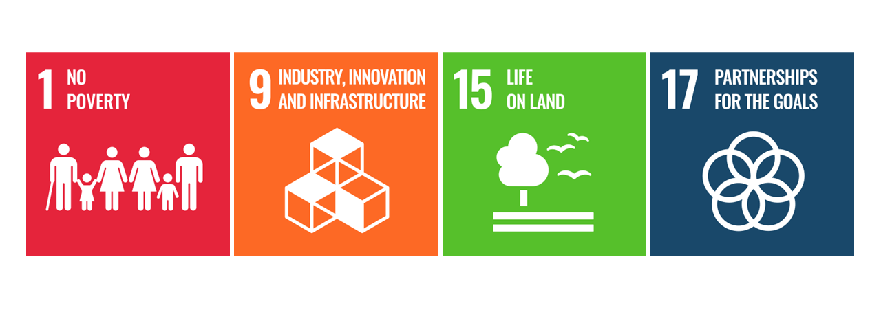 SDG icons