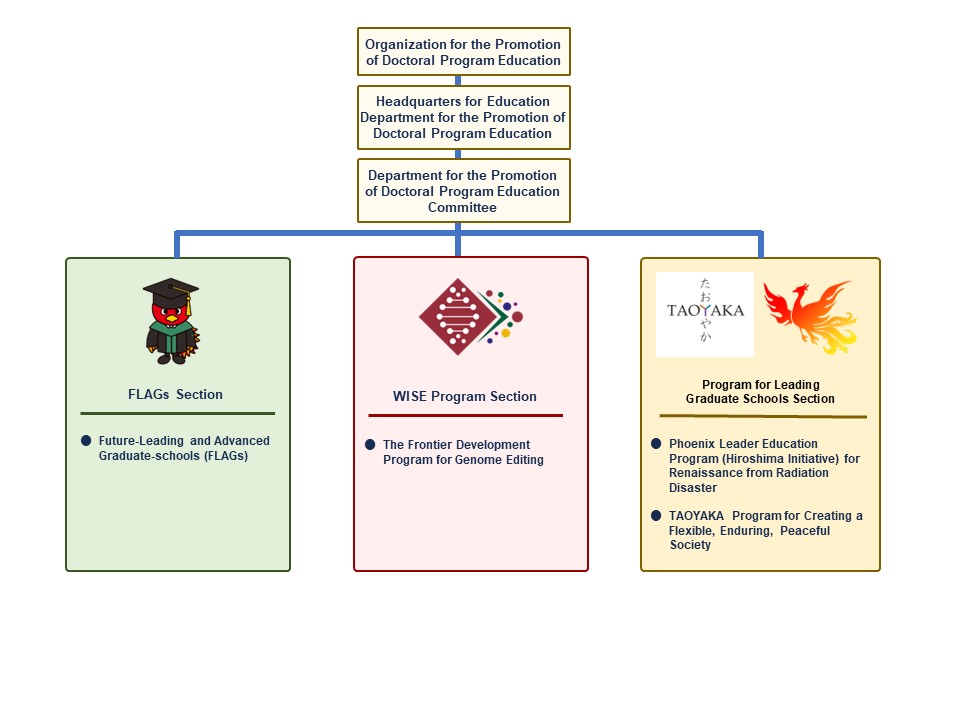 Organizational Structure of the Organization for the Promotion of Doctoral Program Education