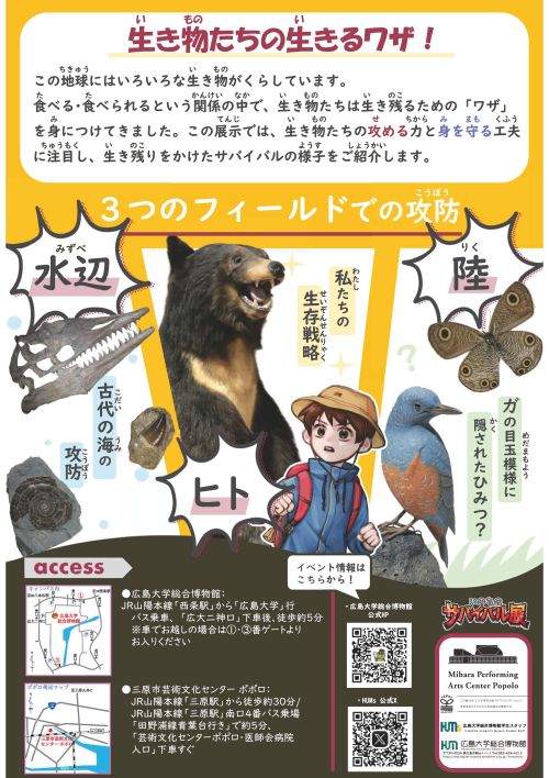 第36回ふむふむギャラリー 「いのちのサバイバル展」チラシ(ウラ)