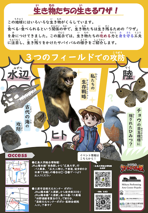 第36回ふむふむギャラリー 「いのちのサバイバル展」イベントチラシ