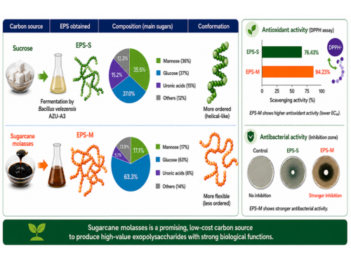 Carbon source shapes the structure and function of bacterial exopolysaccharides Carbon source shapes the structure and function of bacterial exopolysaccharides