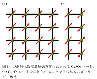 図１．（a）銅酸化物高温超伝導体に含まれるCu-O2シート。（b）Cu-O2シートを単純化することで得られるスピンラダー構造。