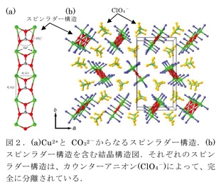 図２．（a）Cu2とCO32-からなるスピンラダー構造。（b）スピンラダー構造を含む結晶構造図。