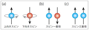 図1：(a) 電子のスピン、(b), (c) 電子対の対称性の概念図