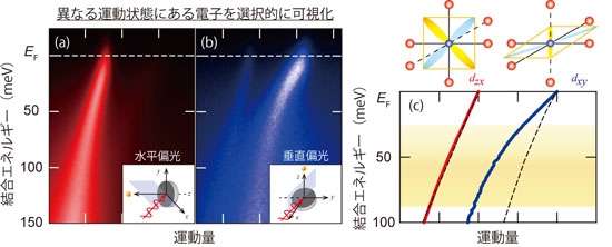 図4：(a), (b) 水平・垂直偏光配置で測定した電子の運動状態。