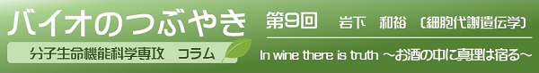 バイオのつぶやき第9回岩下和裕客員教授「In wine there is truth~お酒の中に真理は宿る~」 バイオのつぶやき第9回岩下和裕客員教授「In wine there is truth~お酒の中に真理は宿る~」