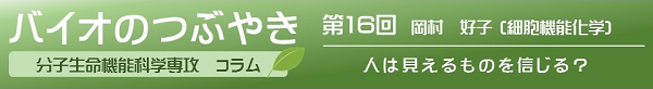 バイオのつぶやき第16回岡村先生「人は見えるものを信じる？」