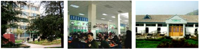 左:四川農業大学動物科学院棟 中央:四川農業大学学生食堂 右:四川農業大学家畜舎