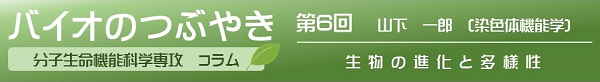 バイオのつぶやき第6回山下一郎教授「生物の進化と多様性」