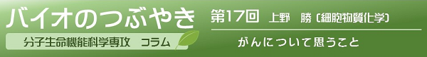 バイオのつぶやき第17回上野勝准教授「がんについて思うこと」
