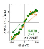 図4  高圧相におけるXMCDの磁場変化