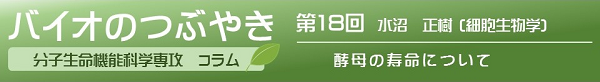 バイオのつぶやき第18回水沼正樹准教授「酵母の寿命について」