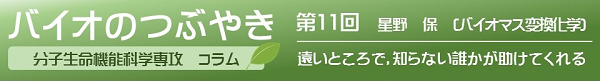 バイオのつぶやき第11回星野保客員教授「遠いところで、知らない誰かが助けてくれる」