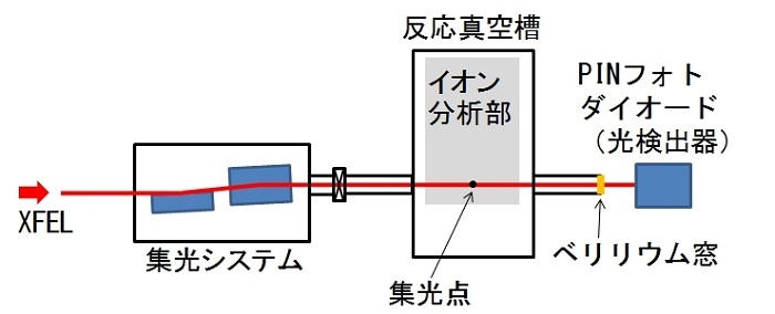 図１．XFELを用いたキセノン原子のイオン化実験の概念図