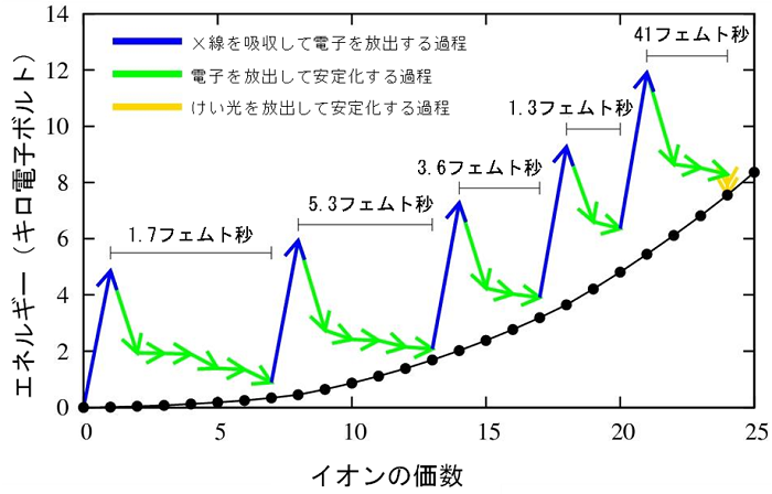 図３．Ｘ線吸収と多段階に起こる電子放出の繰返しによりキセノン原子の価数が上昇するＸ線の高次非線形効果を示す図（1フェムト秒は1000兆分の1秒）