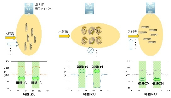 図４　磁場配向した円石集団に対し光を照射し、その反射光の分布を計測する手法。入射光、磁力線、そして観察方向（反射光を測光する向き）の３通りの組み合わせでの測定例を示す。