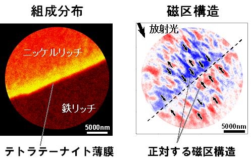 図4：界面近傍の磁区構造と組成分布