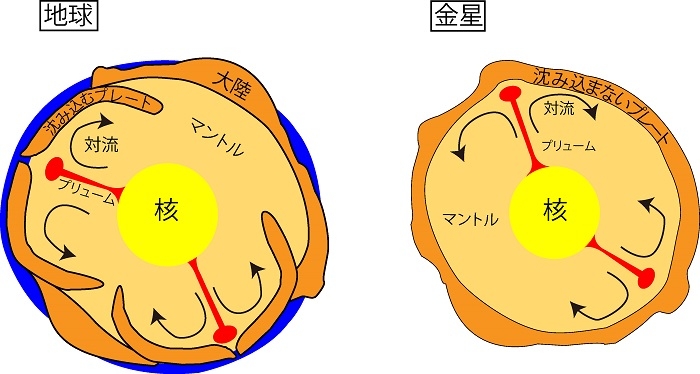 図３：地球と金星内部の運動を模式的に示した図