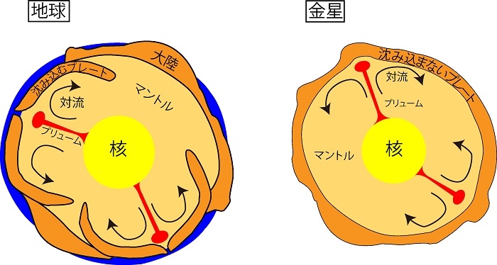 図3:地球と金星内部の運動を模式的に示した図