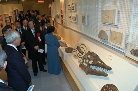 広島大学総合博物館がオープンしました 広島大学 広島大学総合博物館がオープンしました 広島大学