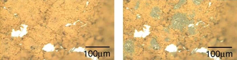 高圧セルを用いた光学顕微鏡その場観察による水素化マグネシウムの脱水素化反応