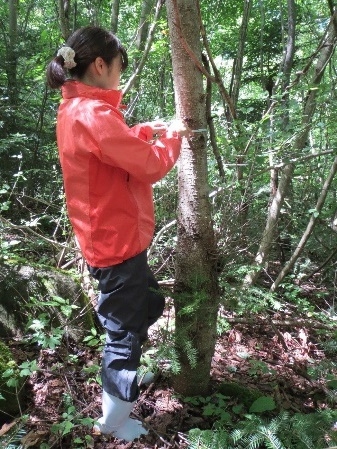 写真　計測する大庭さん