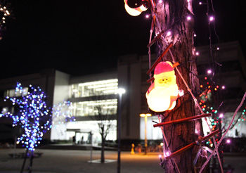 イルミネーションの様子