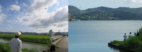 ドローンによる観測風景